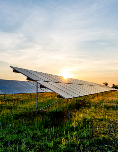 Driving innovation with renewable energy adoption