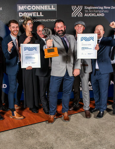 McKay wins Engineering NZ Award